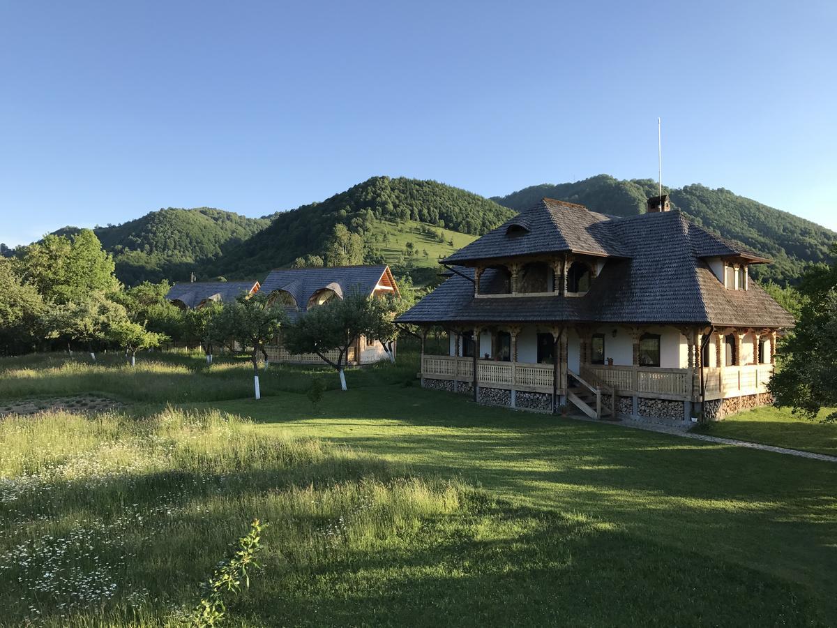 Magnolia Resort Chalets Vişeu de Sus Eksteriør billede
